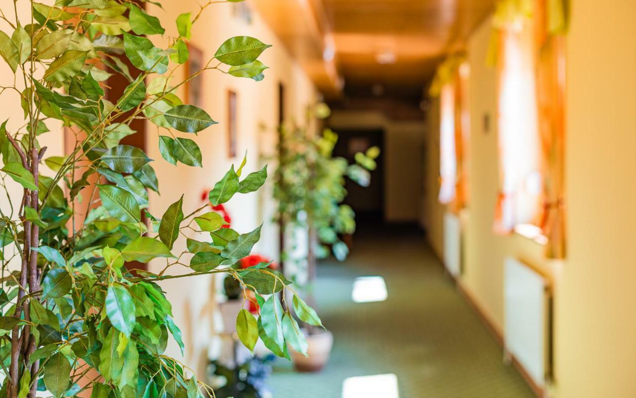 Hotel Garni Steinfeld Wiener Neustadt Bagian luar foto